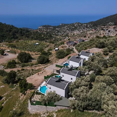 فيلة Montana 1 فتحية