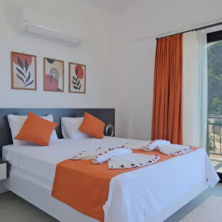 فيلة Montana 1 *