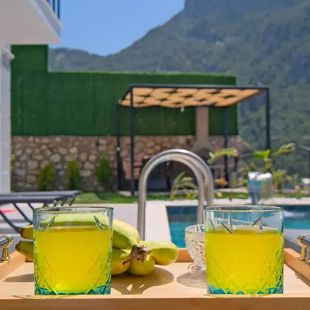 Vila Montana 1 Fethiye