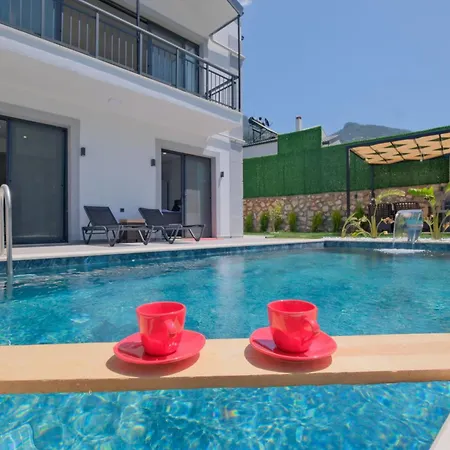 Montana 1 * فتحية