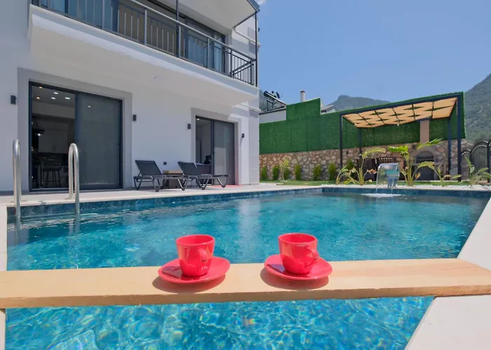 Montana 1 * 费特希耶